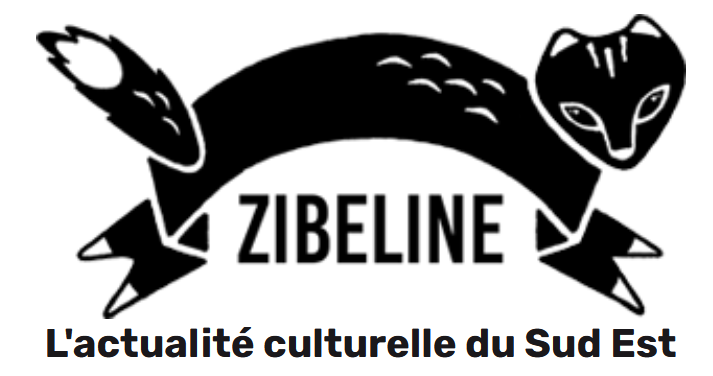 logo-journalzibeline